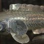 Asian Articulated Silver Fish #2