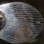 Asian Articulated Silver Fish #2