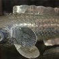 Asian Articulated Silver Fish #2