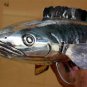 Beautiful Long Asian Articulated Silver Fish