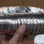Elegant Asian Articulated large Silver Fish 1