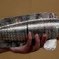 Elegant Asian Articulated large Silver Fish 1