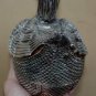 Beautiful Asian Silver Swan