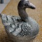 Beautiful Asian Silver Swan