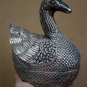 Beautiful Asian Silver Swan