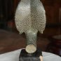 Antique Cambodian Bronze Snake Head Statue