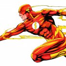 the Flash