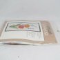 Carron Crewel Embroidery Kit Tulips and Pussywillows 10" x 20" 6358