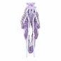 Dream On Me Karley Baby Bassinet Purple Periwinkle