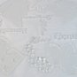 Studio Nova Normandy Oval Glass Cheese Platter Clear Frosted 16 1/4" Germany