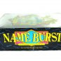 Hersch Name Burst The Memory Jogging Name Calling Who's Who Party Game