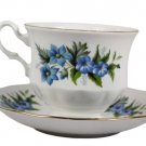 Queen Anne White Blue Floral Teacup Saucer Set Bone China England 6 Oz