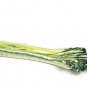 Vietre Green Yellow Vegetable Celery Stalk Leaves Olive Boat Dish 13 5/8"