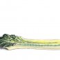 Vietre Green Yellow Vegetable Celery Stalk Leaves Olive Boat Dish 13 5/8"