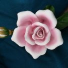 Pink Rose by Andrea