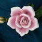 Pink Rose by Andrea