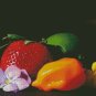 Strawberries Limes Peppers Counted Cross Stitch - Aida 14 Count