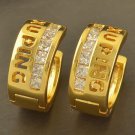 Hoop Earrings - 9k Gold Filled - Austrian Clear Crystals