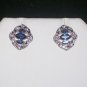 Dazzling Genuine Diamond & Sapphire Earrings