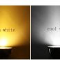 LED downlight 7W,energy-saving swivel ceiling light/Lot of 10Pcs.
