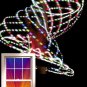 VERY Light 12oz 36" LED Hula Hoop 12 x Strobe Dragonfly 3 colors Batt & Charger