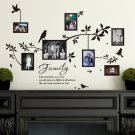 Multi Size Photo Frames with Birds & Quotes Wall Art VINYL Stickers
