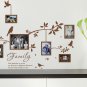 Multi Size Photo Frames with Birds & Quotes Wall Art VINYL Stickers