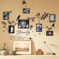 Multi Size Photo Frames with Birds & Quotes Wall Art VINYL Stickers
