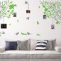 Large Tree Branches with Birds and Photo Frames Wall Art Vinyl Sticker