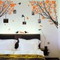 Large Tree Branches with Birds and Photo Frames Wall Art Vinyl Sticker