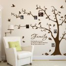 Large Family Photo Tree & Birds Art Vinyl Wall Sticker, DIY Wall Decal