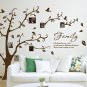 Large Family Photo Tree & Birds Art Vinyl Wall Sticker, DIY Wall Decal