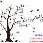 [X Large] Family Photo Tree & Birds Art Vinyl Wall Sticker, DIY Wall Decal
