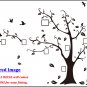 [X Large] Family Photo Tree & Birds Art Vinyl Wall Sticker, DIY Wall Decal