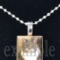 Personalized Custom ANY Image Pet CAT/KITTEN Tile Pendant Necklace Charm or Key-chain