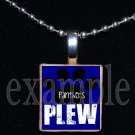 JAMES E PLEW PANTHERS Elementary School Team Mascot Pendant Necklace Charm or Keychain
