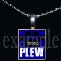 JAMES E PLEW PANTHERS Elementary School Team Mascot Pendant Necklace Charm or Keychain