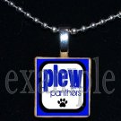 JAMES E PLEW PANTHERS Elementary School Team Mascot Pendant Necklace Charm or Keychain