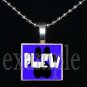 JAMES E PLEW PANTHERS Elementary School Team Mascot Pendant Necklace Charm or Keychain