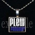 JAMES E PLEW PANTHERS Elementary School Team Mascot Pendant Necklace Charm or Keychain