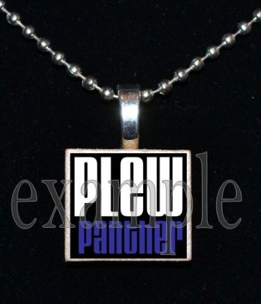 JAMES E PLEW PANTHERS Elementary School Team Mascot Pendant Necklace Charm or Keychain
