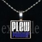 JAMES E PLEW PANTHERS Elementary School Team Mascot Pendant Necklace Charm or Keychain