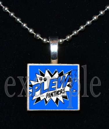 JAMES E PLEW PANTHERS Elementary School Team Mascot Pendant Necklace Charm or Keychain