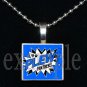 JAMES E PLEW PANTHERS Elementary School Team Mascot Pendant Necklace Charm or Keychain