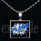 JAMES E PLEW PANTHERS Elementary School Team Mascot Pendant Necklace Charm or Keychain