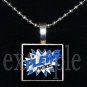 JAMES E PLEW PANTHERS Elementary School Team Mascot Pendant Necklace Charm or Keychain