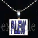 JAMES E PLEW PANTHERS Elementary School Team Mascot Pendant Necklace Charm or Keychain