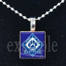 JAMES E PLEW PANTHERS Elementary School Team Mascot Pendant Necklace Charm or Keychain