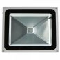 50W RGB Aluminium Alloy LED Flood Light with IP65 Waterproof & Remote Control