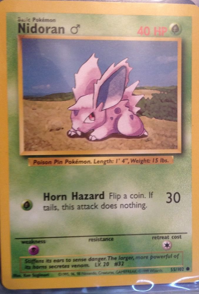 POKEMON-NIRDORAN